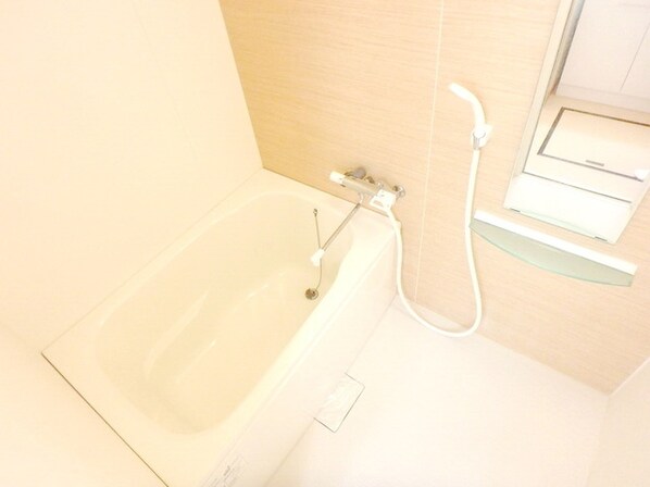 ステルラ・IIの物件内観写真